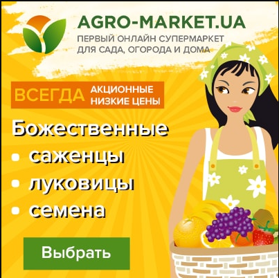 agro-market-ua-eto-krupneisii-onlain-supermarket-big-0